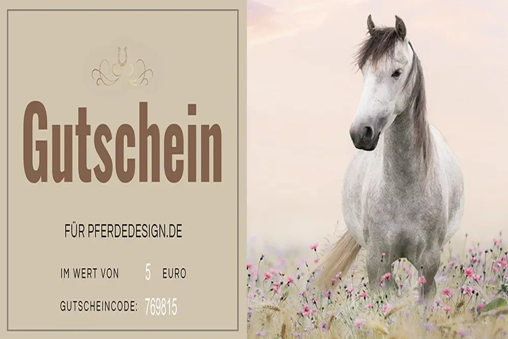 Die perfekte Geschenkidee für Reiter