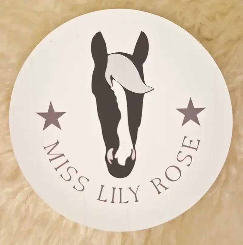 pferdeaufkleber personalisiert, pferdedesign, geschenkidee, pferdeliebhaber, pferdebesitzer, reiter, pferdeaufkleber, horsedesign