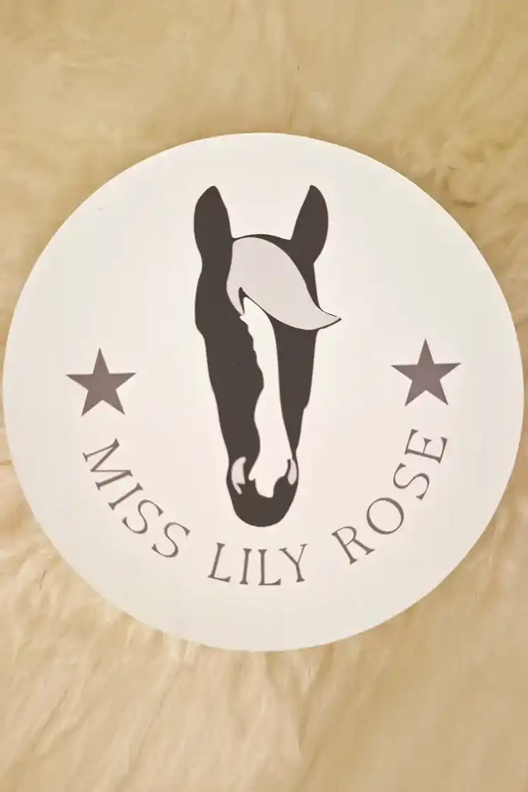 Aufkleber personalisiert 2 ,Aufkleber innen, pferdedesign, pferdemotiv, pferd, reitsportartikel, reiterbedarf, aufkleber design, autoaufkleber