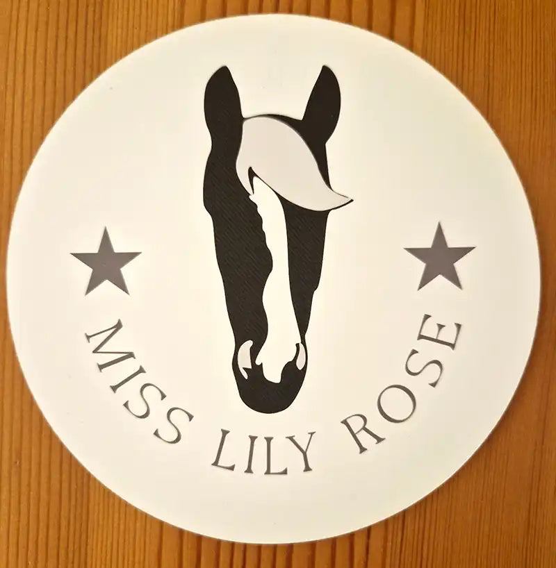 pferdeaufkleber personalisiert, pferdedesign, geschenkidee, pferdeliebhaber, pferdebesitzer, reiter, pferdeaufkleber, horsedesign, aufkleber Pferd