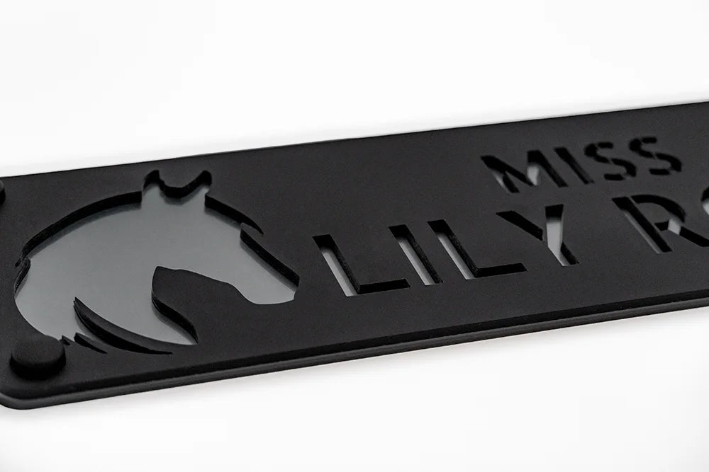 Edles, silbernes 3D-Pferdeboxenschild in glänzend mit personalisiertem Logo und Namensgravur – luxuriöses Schild für Pferdeboxen, das Stil und Exklusivität im Stall betont.