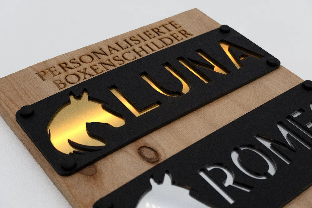 Gelasertes 3D-Boxenschild in Nahaufnahme mit erhabener Schrift