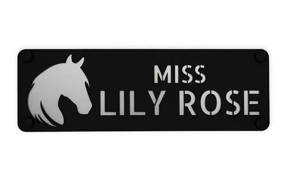 3D-Pferdeboxenschild in edlem silber glänzend mit personalisiertem Logo und Namensgravur – hochwertiges Schild für Pferdeboxen, das Eleganz und Individualität im Stall verleiht.