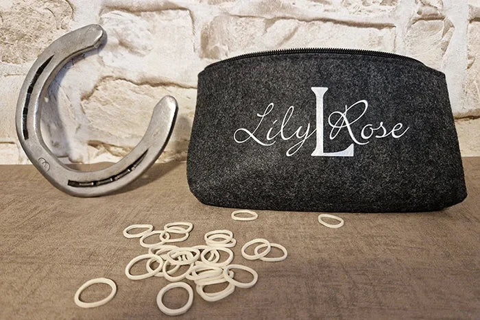 personalisiert, Pferdenamen, Reitsportartikel, Geschenk für Reiter, Pferde Reitsportfachgeschäft, Reitsportbedarf Ratingen, Mettmann, Düsseldorf, Pferdeliebhaber, Aufbewahrung Putzzeug, personalisierte Reitsportartikel, schlampermäppchen