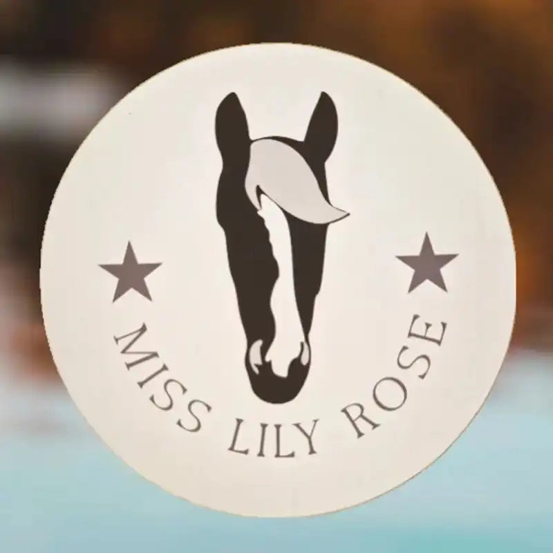 pferdeaufkleber personalisiert, pferdedesign, geschenkidee, pferdeliebhaber, pferdebesitzer, reiter, pferdeaufkleber, horsedesign, sticker aussenbereich