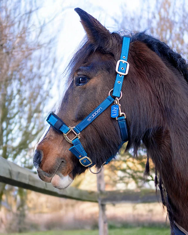 Namensschild Pferd, Plakette Pferd, personalisiert, Pferdenamen, Reitsportartikel, Geschenk für Reiter, Pferde Reitsportfachgeschäft, Reitsportbedarf Ratingen, Mettmann, Düsseldorf, Pferdeliebhaber, personalisierte Reitsportartikel