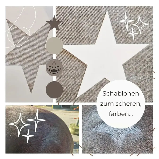 Schablone scheren Pferd, Scherschablone, Reitsportartikel, Reitsportbedarf, Stern, Blume, Herz, französische Lilie, Pferderasur
