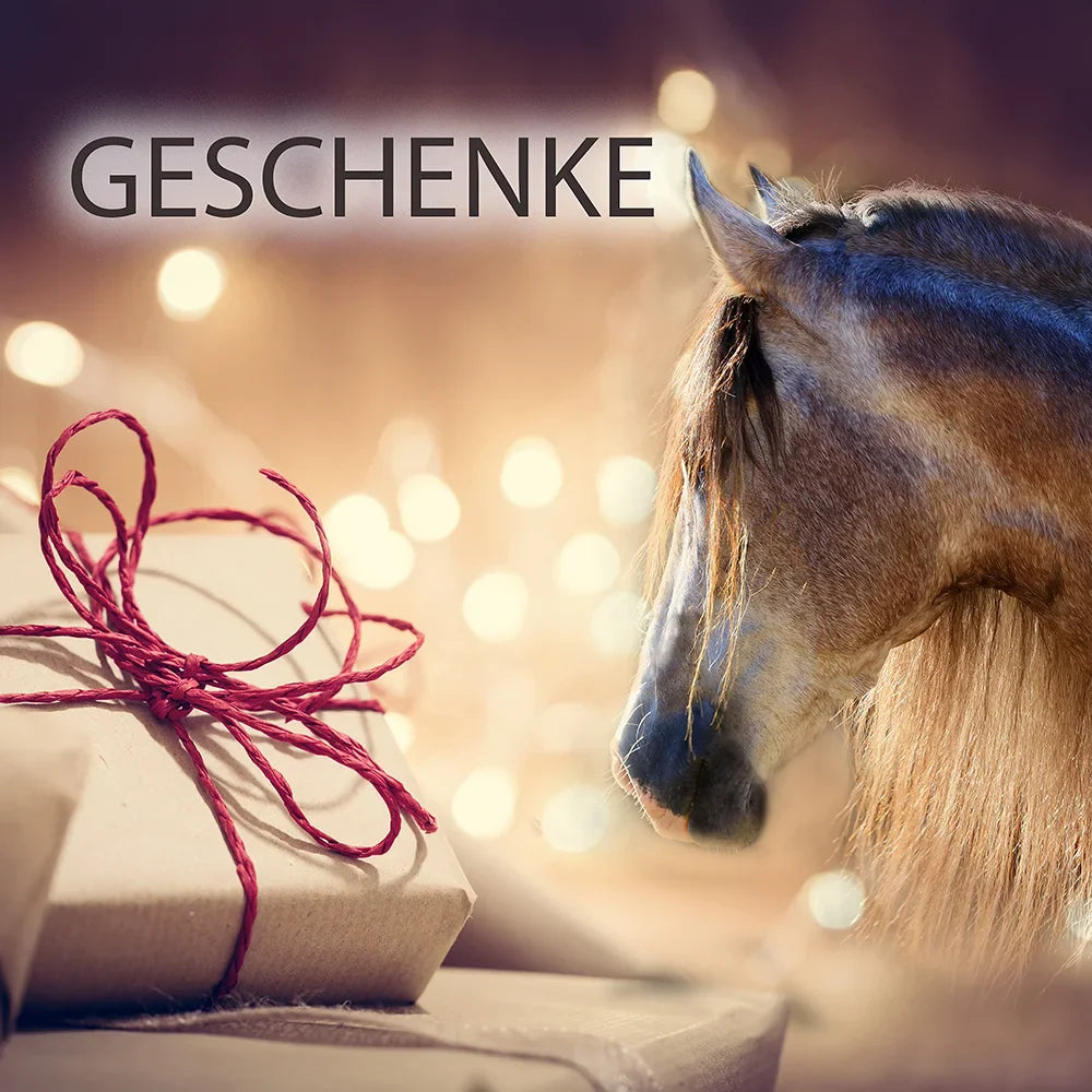 Geschenke für Pferdeliebhaber