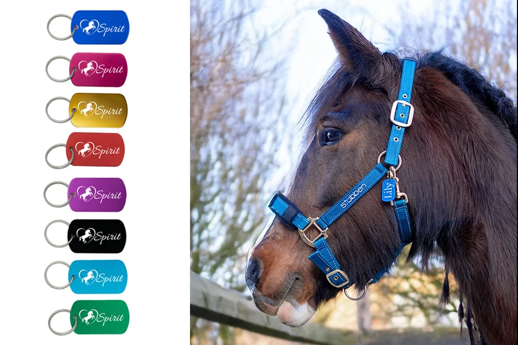 Anhaenger Pferdemotiv, Geschenkartikel, Pferdebesitzer, Pferdeanhaenger,Pferdedesign,Designanhaenger,personalisierte Pferdeartikel,Pferdebedarf,Metallanhaenger,Anhaenger mit Namen