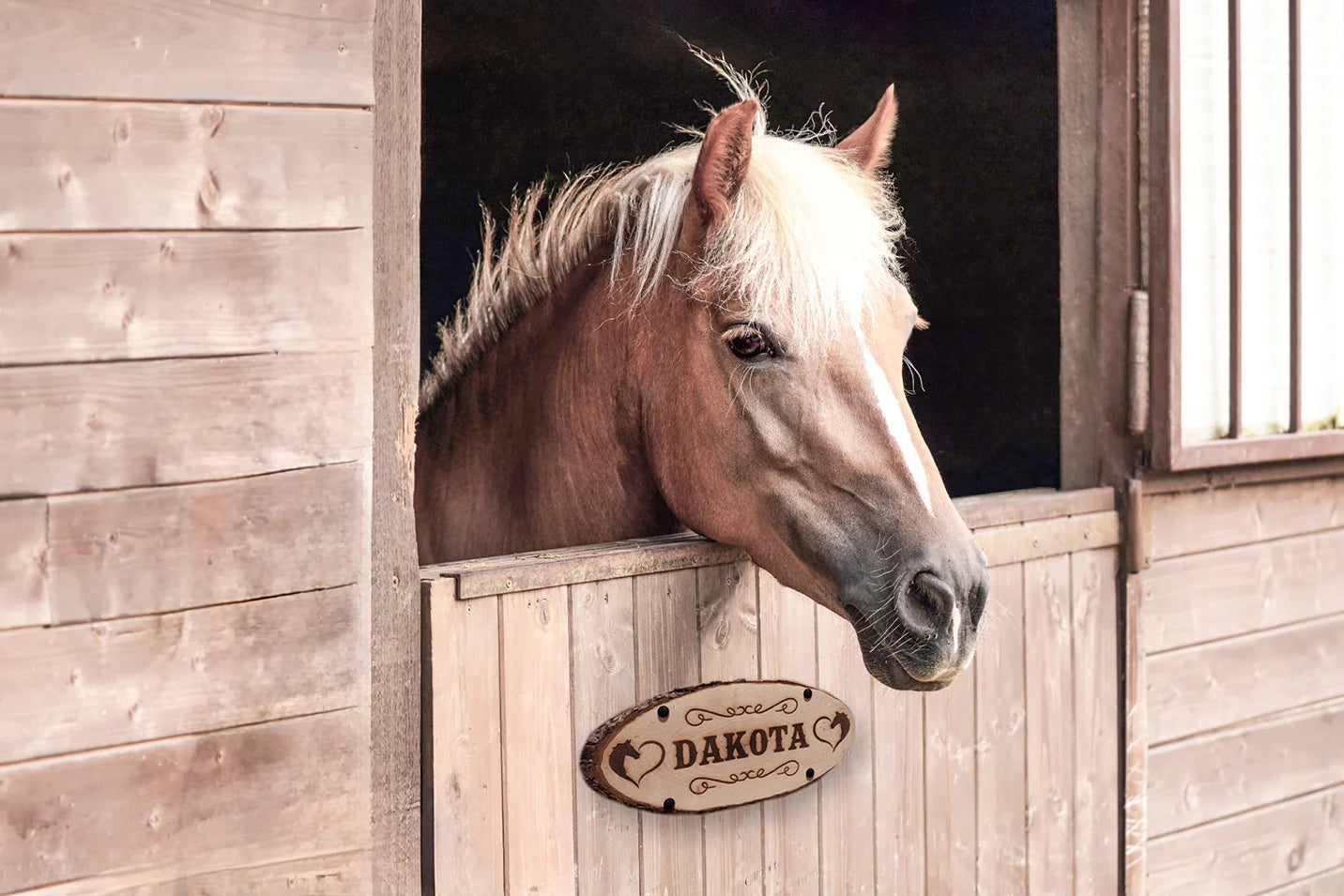 Holz-Boxenschild mit Pferdenamen