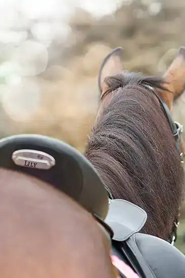 Name Sattel personalisiert, pferdedesign, pferdemotiv, pferd, reitsportartikel, reiterbedarf, aufkleber sattel,  aufkleber, sattelzubehör
