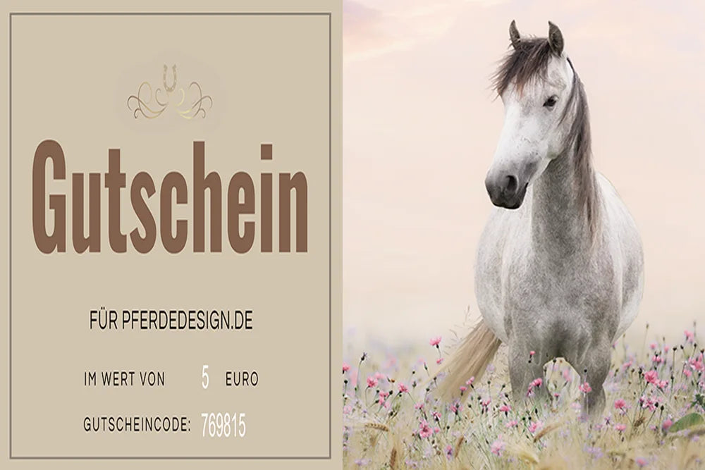 Gutschein Reitsportartikel, Gutschein Reiter, personalisierten Produkte, Pferdesport, Reitbekleidung, Reitbekleidung bedrucken,Geschenk Pferdeliebhaber, Geschenkidee Pferdebesitzer