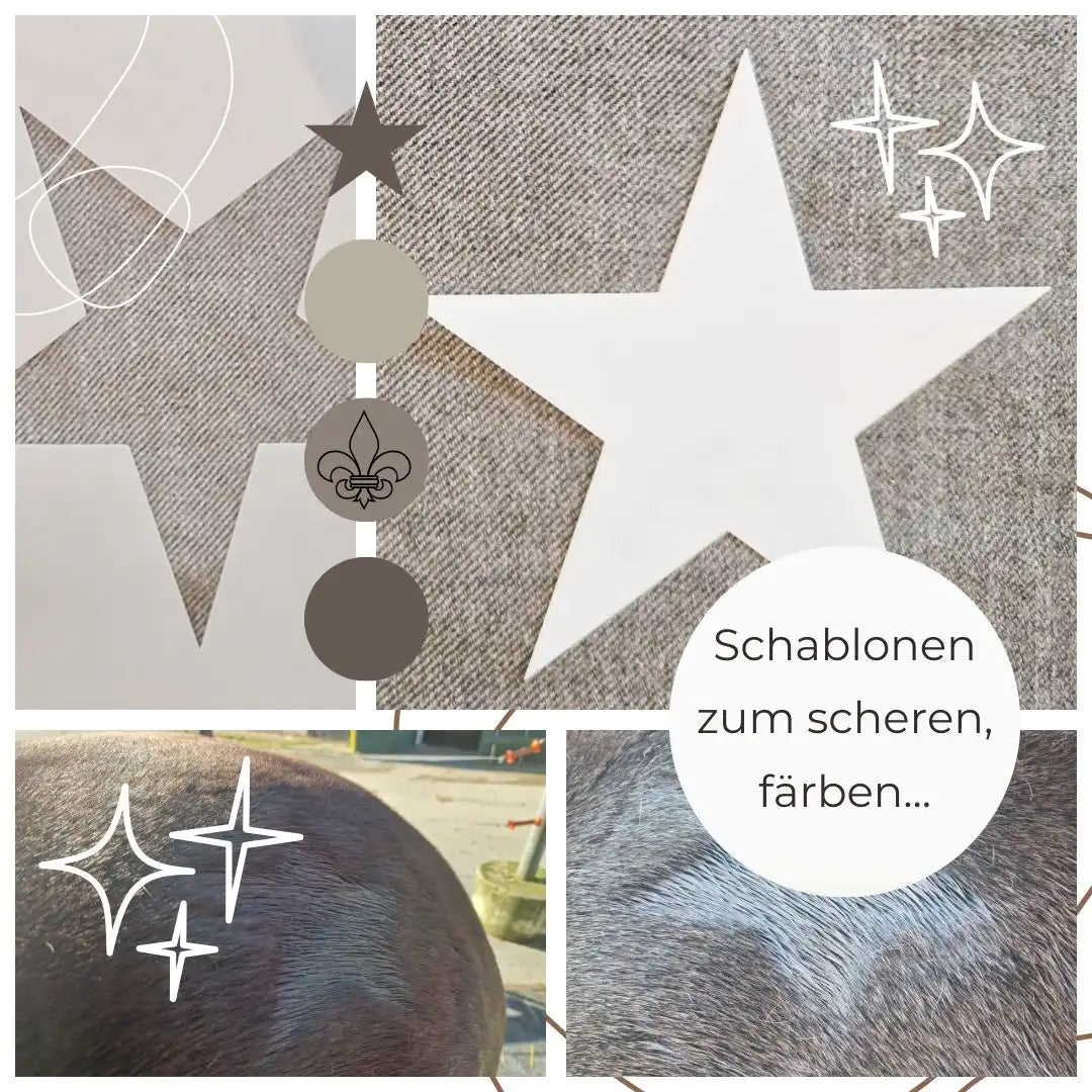 Scherschablonen und Färbeschablonen in Sternform mit Beispielen am Pferd